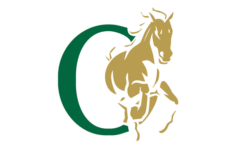 Ola Jr Mustangs Football & Cheer
